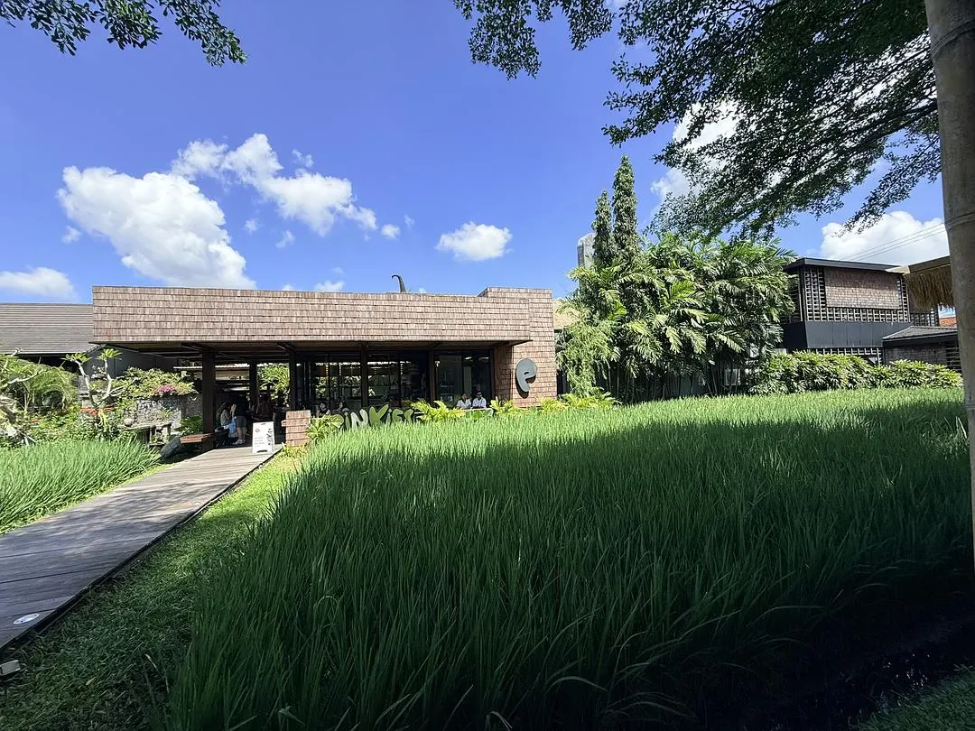 pison餐厅门口的稻田